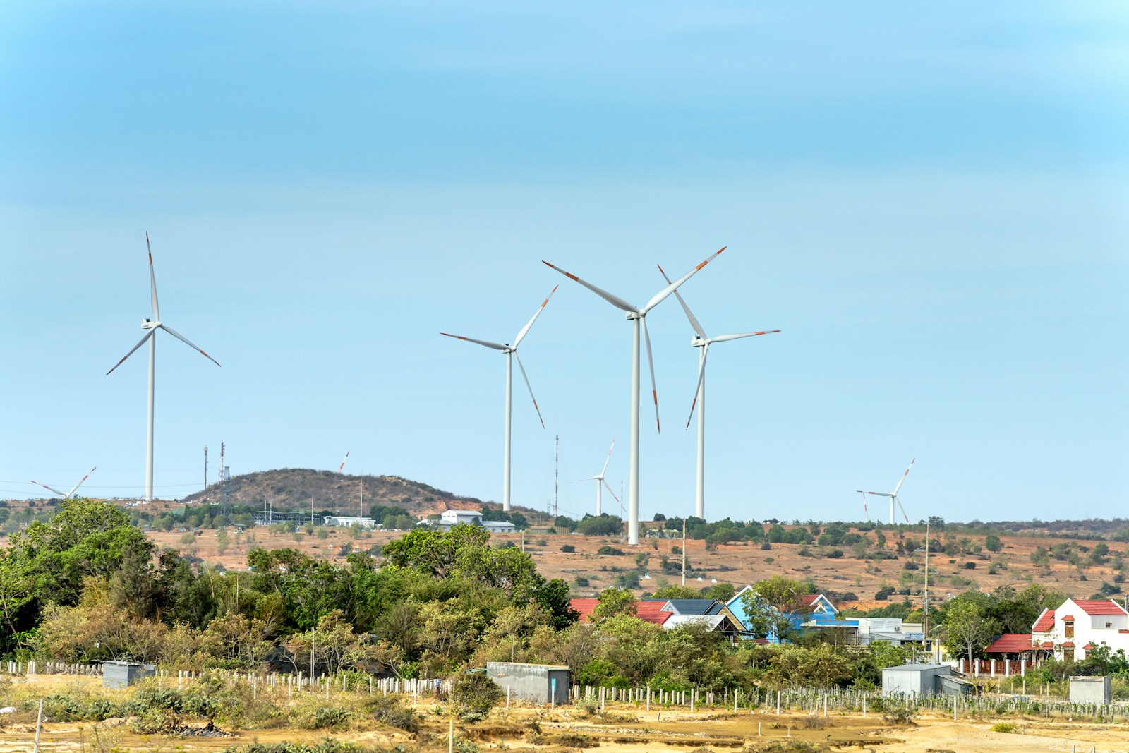 a group of windmills in a field with houses in the background